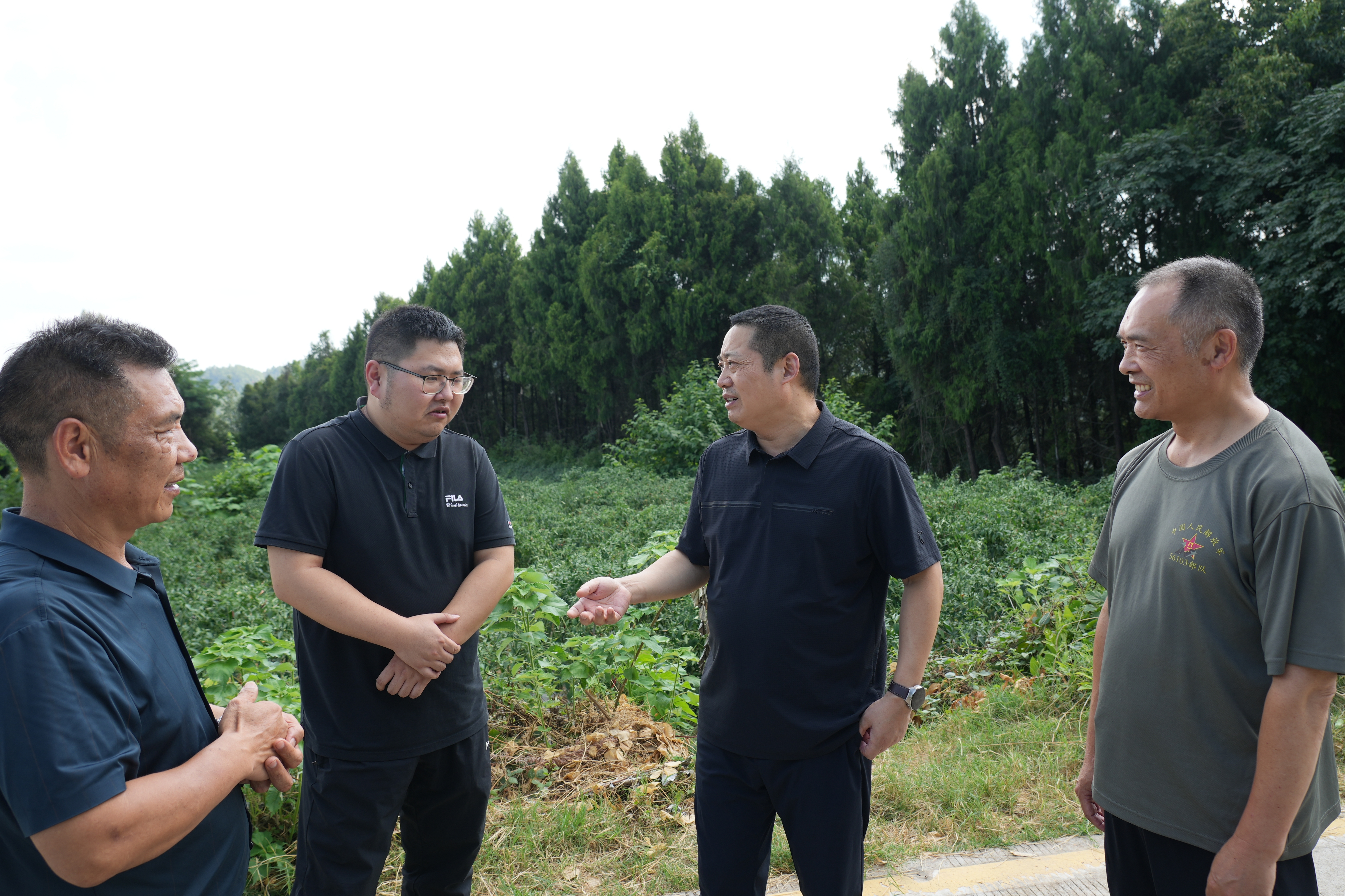 李静江赴上八庙镇来凤村调研乡村振兴工作