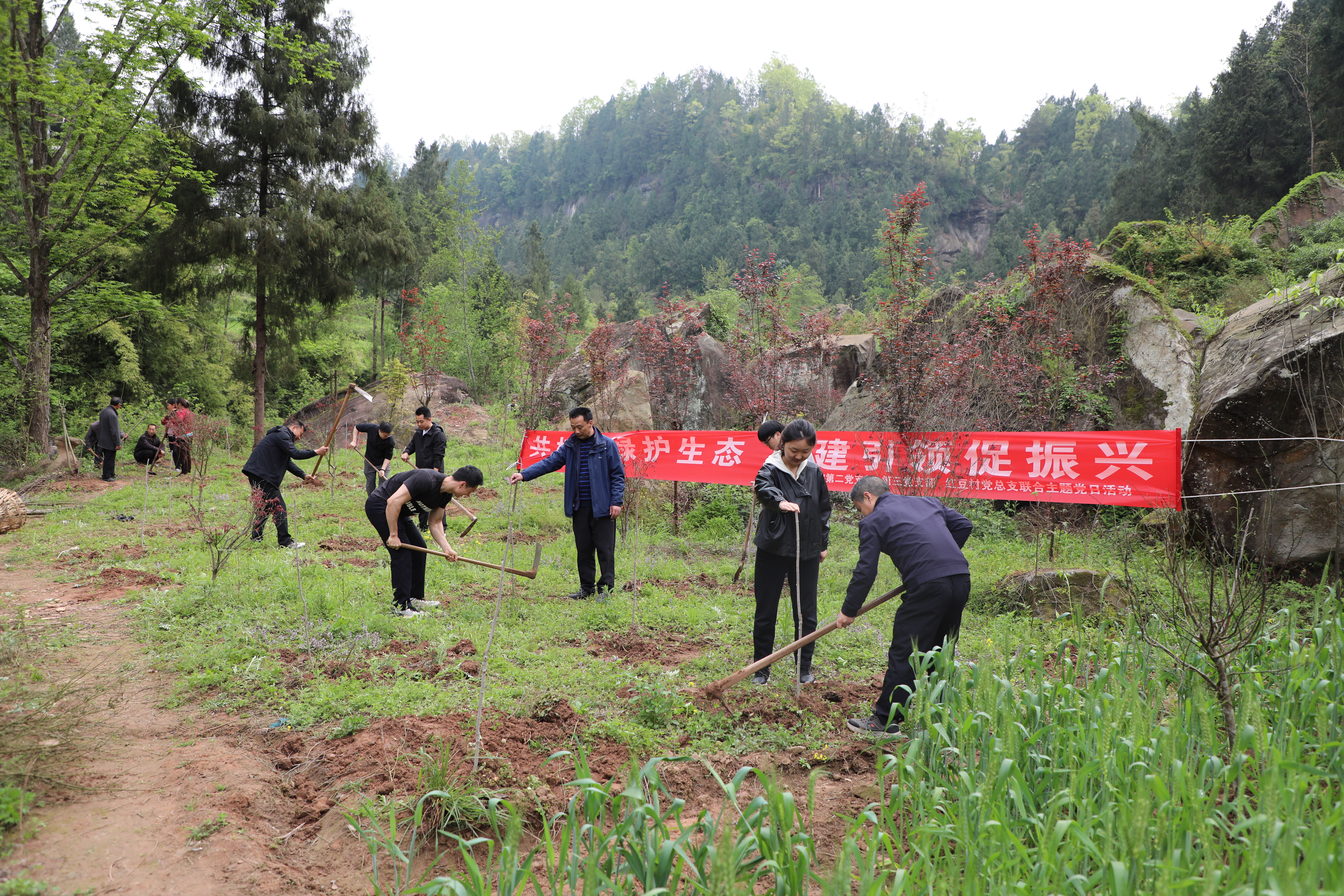 共植新绿护生态 党建引领促振兴